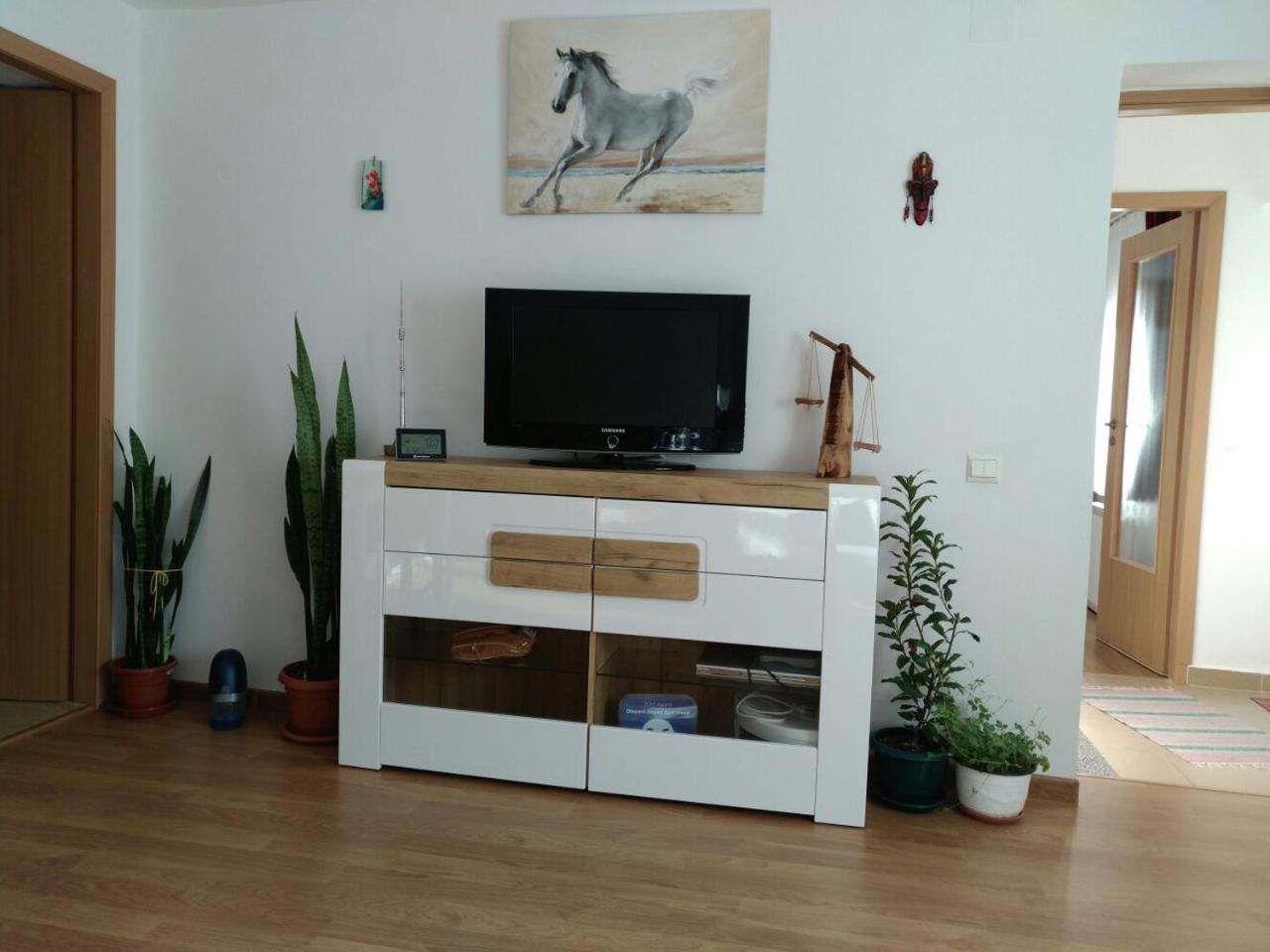 Otopeni Therme Airport Apartment Buitenkant foto